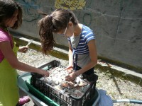 /album/fotogaleria/a10633534-10202955387908510-126234353683336634-o-jpg/